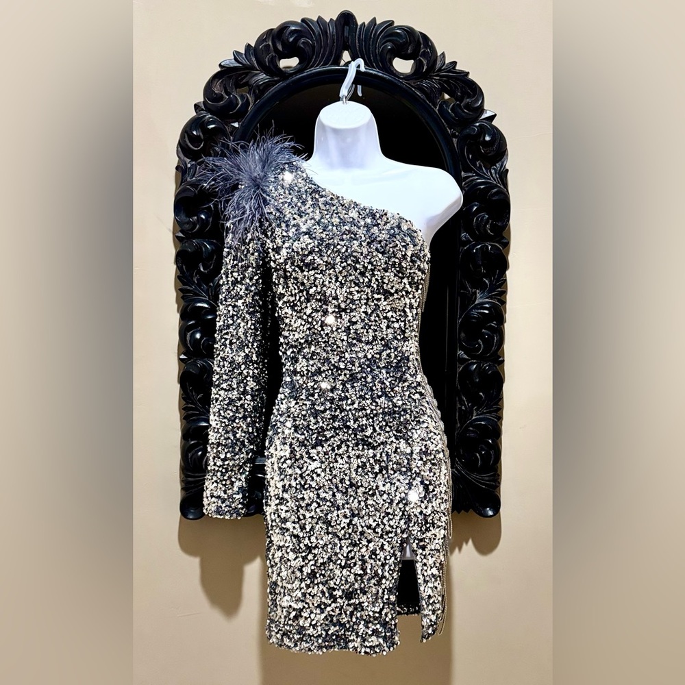 Banjul One-Shoulder Silver Sequin Mini Dress with Feather Trim - NWOT
